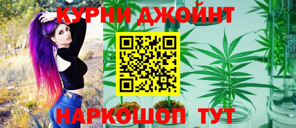Бошки Шишки планчик Сертолово